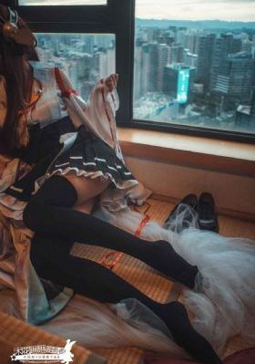 神犬小七第二季免费观看完整版