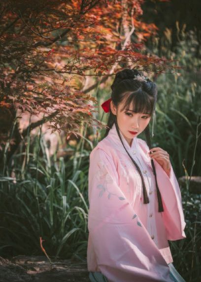 后宫露营樱花