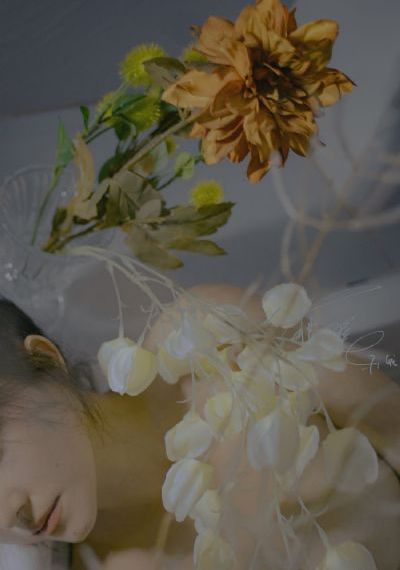 少妇性bbb搡bbb爽爽爽欧美